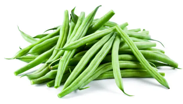 HARICOT VERT