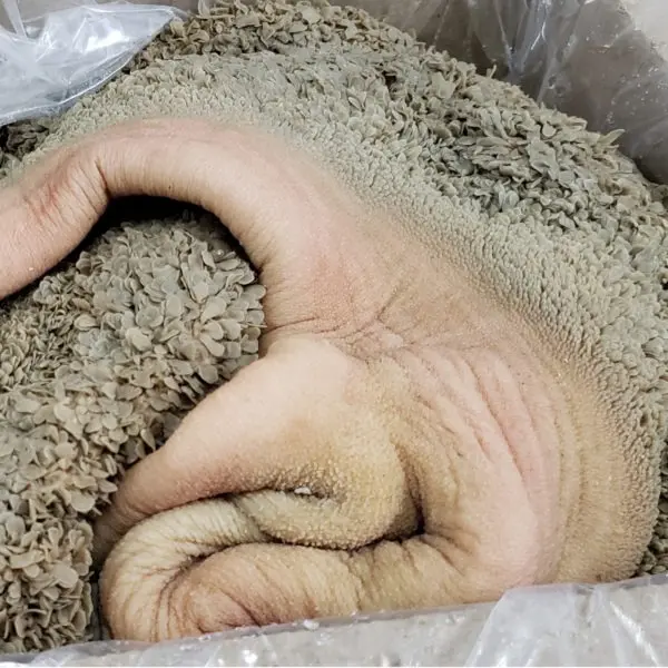 VIANDE DE MOUTON MELANGE AVEC TRIP 1 Kg