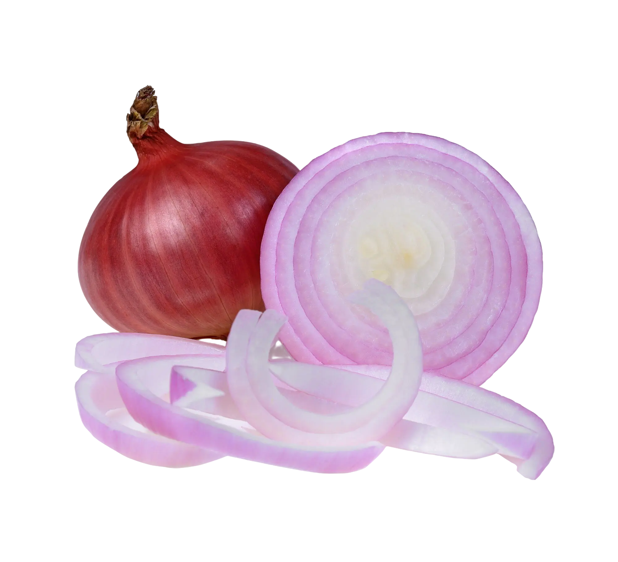 OIGNON