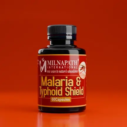 MALARIA &TYPHOID SHIELDS TREATMENT-MILNAPATH INTERN