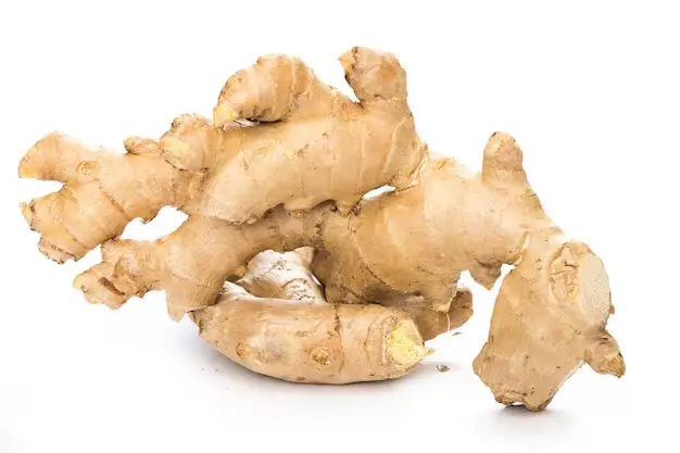 ginger_303-42415
